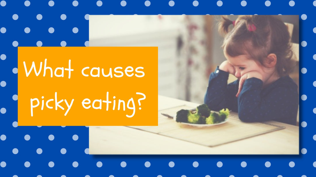 What causes picky eating? - Curious Cub Club